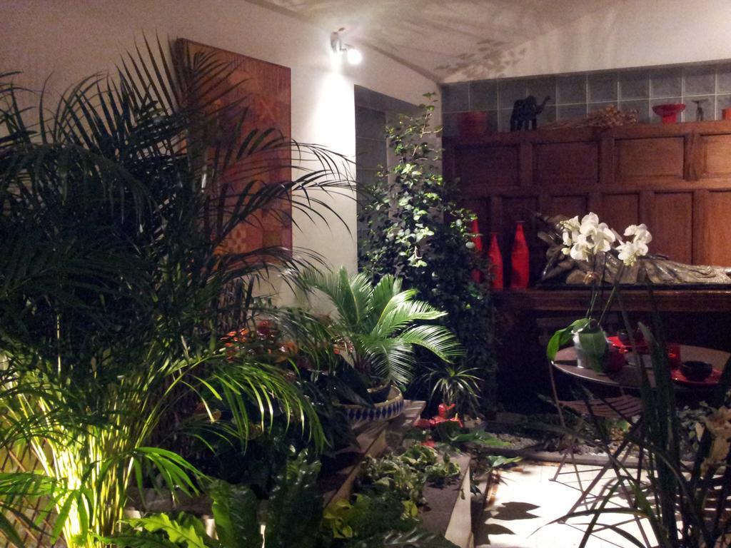 Chambres D'Hotes Le Petit Siam : Le Calme En Centre Ville Clermont-Ferrand Esterno foto